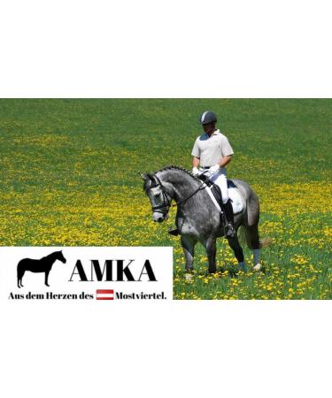 AMKA Double Broken Snaffle Bit | 18mm Stainless Steel | 65mm Rings | Ideal for Horses up to 17.5 cm - Shop Internationally - Buy Online on SooperMarket.com