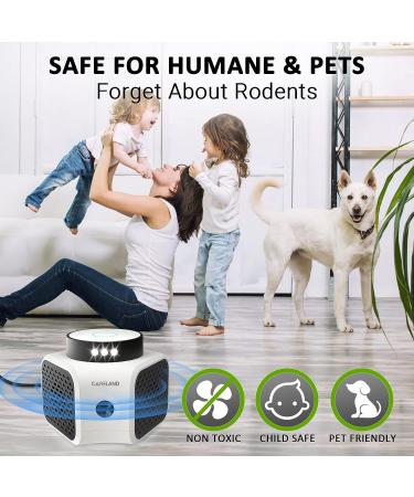 Careland Ultrasonic Pest Repeller 4-in-1 | Squirrel & Rodent Repellent with Ultrasound Waves and LED Strobe Lights | Indoor Mouse Deterrent - Buy Online on SooperMarket.com