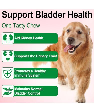 Dog Urinary Tract Infection Treatment Drops with Cranberry Extract - Supports Bladder, Kidney Stone Prevention & UTI - Bacon Flavor - 60ml - Buy Online on SooperMarket.com