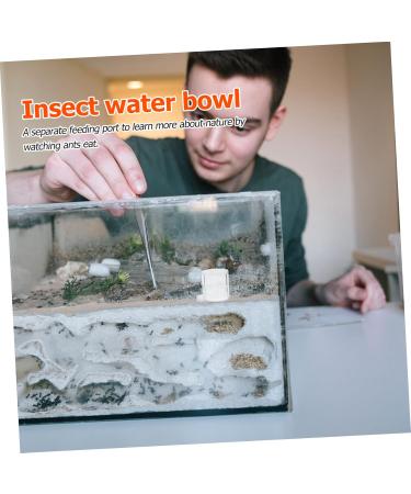 Mipcase 2pcs Ant Water Feeder Tortoise Water Dish Reptile Water Dish Cup Insect House Transparent Acrylic - Buy Online on SooperMarket.com