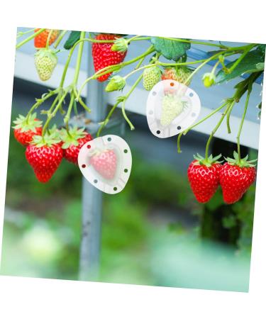 Mipcase 5pcs Fruit Shaping Mold Garden Tool Fruit Protection Cucumber Mold Vegetable Fruit Cucumber White - Buy Online on SooperMarket.com