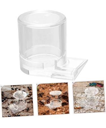 CORHAD Ants Waterer Pet Water Feeder Ant Nest Supplies Ant Cups Water for Ant Garden Ant Water Feeders Beehive Animal - Buy Online on SooperMarket.com