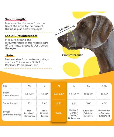 BONTHEE Dog Muzzle Soft Mesh Muzzles for Small Medium Large Sized Dogs Muzzle for Dogs to Prevent Biting Breathable Puppy Muzzle for Scavenging Grooming Biting Chewing and Licking Carrot M - Buy Online on SooperMarket.com