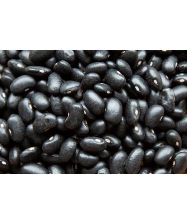 Mynatura Organic Black Beans - Dried Black Turtle Legumes (1000g) | Natural Plant-Based Cooking Ingredient for International Shipping - Buy Online on SooperMarket.com