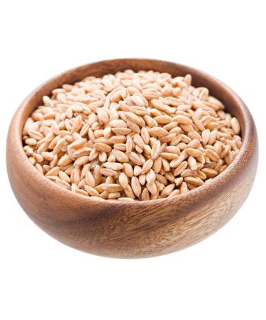 Bulk Grains, 100% Organic Pearled Farro, Pack of 11, Size - LB, Quantity - 1 Case11