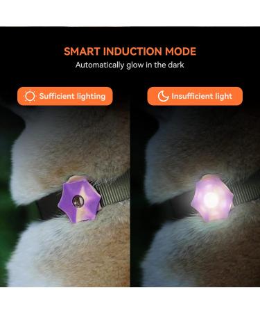 LaRoo Safety LED-Flashing Light for Dogs Cats LED-Light Pendant Keyring Clip on Dog Collar Charms Blinker Light Waterproof Safety Light for Walking the Dog and Outdoor Sports rechargable Purple-1 - Buy Online on SooperMarket.com