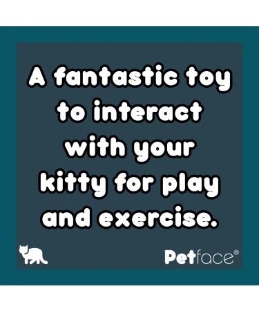Petface Catnip Butterfly Teaser - Fun Interactive Toy for Cats - Buy Online on SooperMarket.com