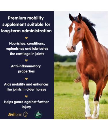 Suppleaze Gold Joint Supplement for Horses - Nourishes Conditions and Supports Your Horses Joints - Optimum Levels of Glucosamine - New Formula with MSM HA Vitamin C And Boswellia 600 g (Pack of 1) - Buy Online on SooperMarket.com
