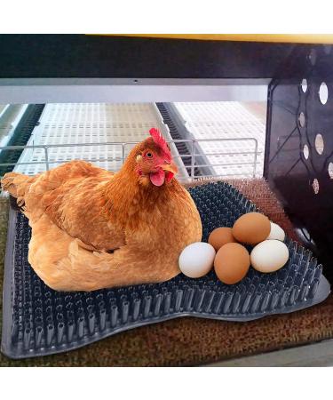 Hamiledyi Chicken Nesting Pads  Hen Nest Mats Washable  Chicken Nesting Box Plastic Liners  Reusable Egg Laying Mats for Chicken Coop Poultry Nest Boxes Ducks Nesting Pads 6PCS - Buy Online on SooperMarket.com
