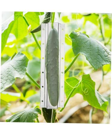 SUPVOX 4pcs Fruit Vegetables Shaping Pentagram Planting Star Accessories Plangting Plastic Mould Mold - Buy Online on SooperMarket.com