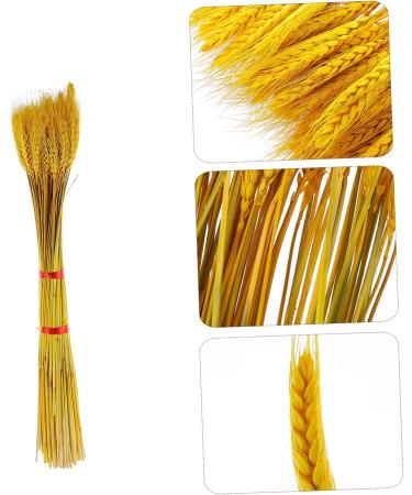 100pcs Dried Wheat Ears Bouquet Dried Flowers Decor Wedding Wheat Ear Floral Arrangement Wheat Ear Wheat Stalk Flowers Wheat Ear Dry Flowers Home Wheat Ear Real Flower Natural Yellow 52X10CM - Buy Online on SooperMarket.com