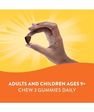 Nature's Way Alive! Premium Adult Gummy Multivitamins - Essential Vitamins & Minerals - Vegetarian - Grape & Cherry Flavored - 90 Gummies - Buy Online on SooperMarket.com