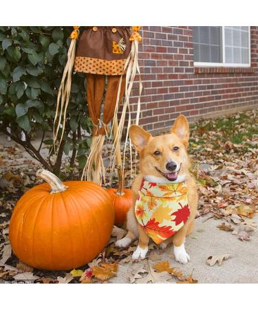 3Pcs Halloween Dog Bandanas Thanksgiving Pet Triangle Bibs Fall Pumpkin Maple Leaf Printed Dog Kerchief Adjustable Washable Scarfs Accessories for Small Medium Large Girl Boy Dogs Puppies Cats Pets - Buy Online on SooperMarket.com