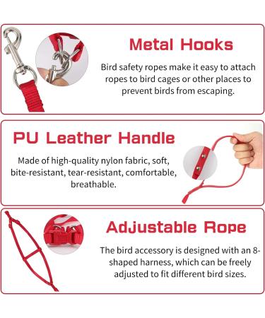 Felenny Bird Dishes & Leash - Adjustable Outdoor Accessories for Scarlet Macaw Sun Conure and Nymphensittich - Anti-Bite Protection (Large Red) - Buy Online on SooperMarket.com