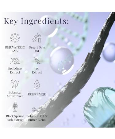 MONAT Smoothing Anti Frizz System | Professional Frizz Control Shampoo Conditioner & Styling Spray for Smooth Frizz-Resistant Hair Worldwide Shipping Available - Buy Online on SooperMarket.com