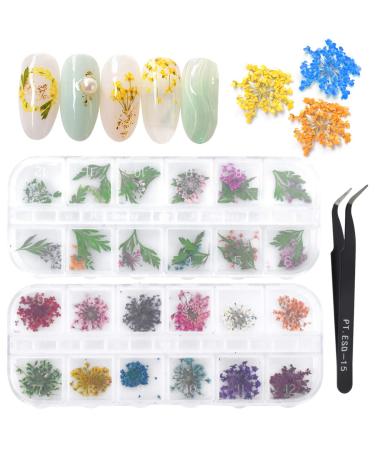 Dokpav 2 boxes Dried flowers for nail art 24PCs dried flowers green leaves set nail application 3D nail art accessories for nail decor real flowers for nails with curved tweezers