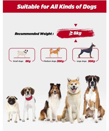 Heelay Hands Free Dog Leash - 8.2ft Multifunctional Crossbody Rope for Small, Medium & Large Dogs - Walking, Jogging, Running - Black - Buy Online on SooperMarket.com