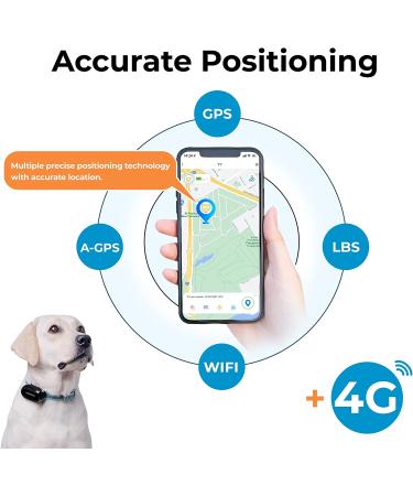 DOGNESS Waterproof GPS Tracker for Dogs and Cats - Live Tracking & Emergency Alerts - Size M - Buy Online on SooperMarket.com