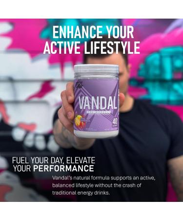 Vandal | Pre Workout Powder - Safe Nootropic Pre Workout Supplement for Men & Women | Boosts Energy Focus Performance & Recovery | Nitric Oxide Booster for Blood Flow | 40 Servings (Royal Lemonade) - Buy Online on SooperMarket.com