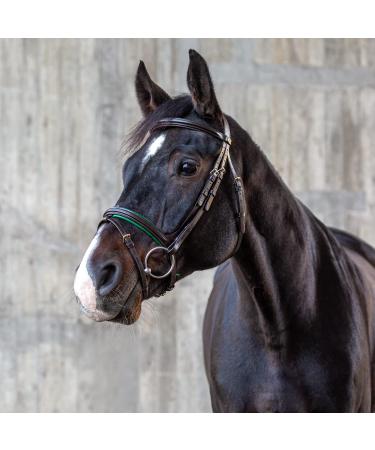 Sunride English combined bridle Hawaii with reins made of soft real leather colored adjustable and anatomical (full brown/green) full brown/green