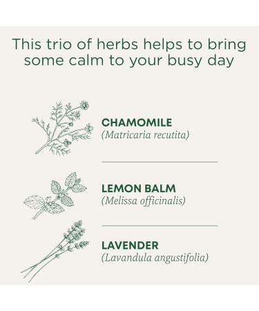 Traditional Medicinals - Organic Chamomile with Lavender Herbal Tea (Pack of 6) - Soothing blend containing Lemon Balm - 96 Tea Bags Total Tea Chamomile with Lavender 16 Count (Pack of 6) - Buy Online on SooperMarket.com