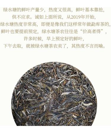 Pu-erh tea 2022 SHENG JIA YUAN green pond 357g Raw - Buy Online on SooperMarket.com