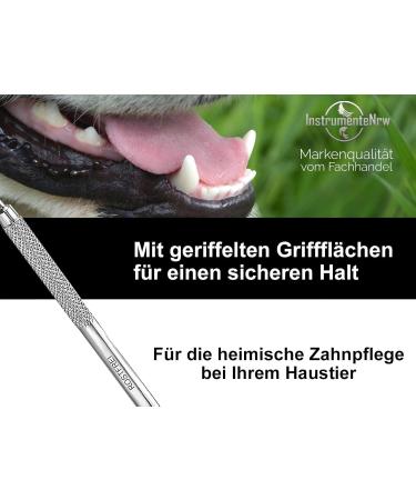 Premium Stainless Steel Dog Tartar Remover | Pointed Tooth Cleaner & Toothbrush Replacement | Zartar Scratches Type 18 for Effective Pet Dental Care - Buy Online on SooperMarket.com