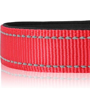 Buy Joytale Reflective Dog Collar for Large & XL Dogs - Red | Durable & Stylish (Pack of 1) - Buy Online on SooperMarket.com