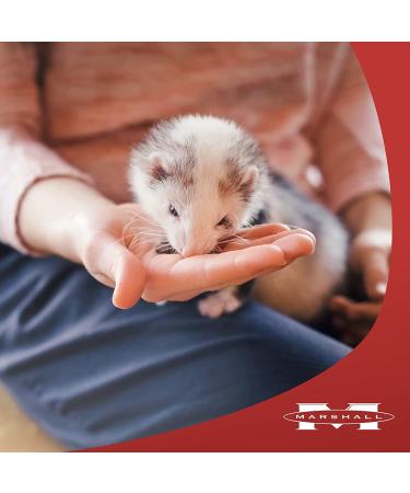 Marshall Pet Products Natural Premium Ferret Diet Food with Chicken Protein 4lb - Highly Digestible | Pack of 1 - Buy Online on SooperMarket.com