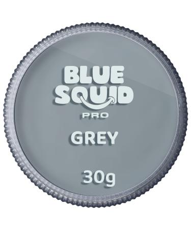 Blue Squid PRO Face Paint - Classic Grey (30g) Professional Water Based Single Cake Face & Body Paint Makeup Supplies for Adults Kids Halloween Facepaint SFX Water Activated Face Painting Non Toxic