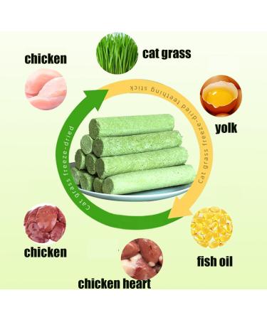 Berdexa Cat Grass Teething Sticks Verdexa Cat Grass Teething Sticks for Indoor Cats Cat Grass Chew Stick Cat Chew Stick Natural Molar Rod Increase Appetite (1Bucket) - Buy Online on SooperMarket.com