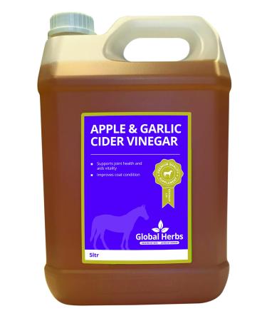 Global Herbs Apple & Garlic Cider Vinegar 5 Litre