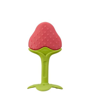 Innobaby Award-Winning Teethin Smart EZ Grip Fruit Teether - BPA Free Teether for Babies & Toddlers - Grape/Citrus/Berry - Buy Online on SooperMarket.com