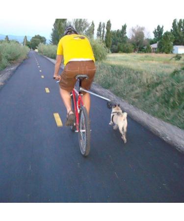 iFCOW Dog Bike Leash - Hands-Free Bicycle Training Leash for Jogging & Walking | Silver Perfect for Cycling - Buy Online on SooperMarket.com