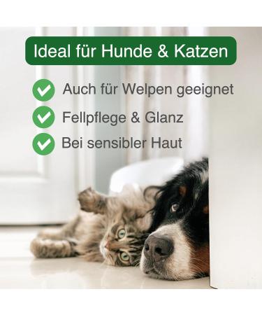 Envira Anti-Parasite Shampoo for Dogs & Cats - 2x 400ml | Effective Flea Tick & Mosquito Treatment - Itch Relief for Pets - Buy Online on SooperMarket.com