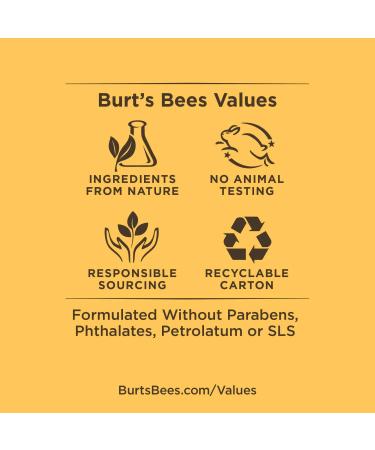 Burt's Bees Coconut & Pear and Mango Lip Balm - 100% Natural, Moisturizing with Beeswax & Fruit Extracts - 2 Tubes 2 Fl OZ & 0.15 Ounce (Pack of 2) - Buy Online on SooperMarket.com
