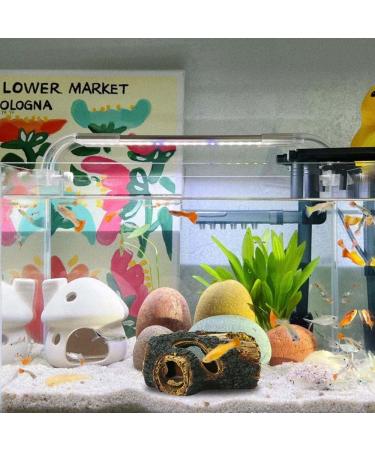 CTPENG Aquarium Cave - Kunst Resin Betta Decoration - Ideal for Small & Medium Aquariums (Harz 13.5x9x5.5 cm) - Buy Online on SooperMarket.com
