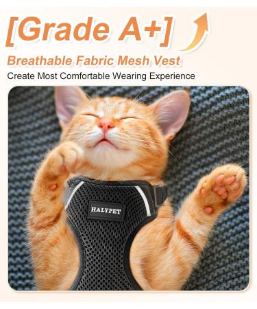 Halypet Cat Harness and Leash Set - Third Generation Escape Proof Design for Maximum Safety - Adjustable, Breathable Vest for Outdoor Walking - Black Small - Buy Online on SooperMarket.com