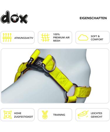 Ddoxx Adjustable Air Mesh Dog Harness - Step-In Padded for Small Medium & Large Dogs | Multiple Colors & Sizes Available | Ideal for Dogs Cats & Puppies - Buy Online on SooperMarket.com