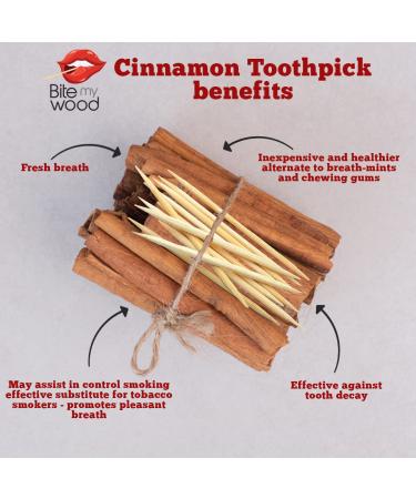 BiteMyWood Cinnamon Toothpicks for Adults - Long Lasting Super Hot & Spicy Flavor (100 Picks) - Buy Online on SooperMarket.com