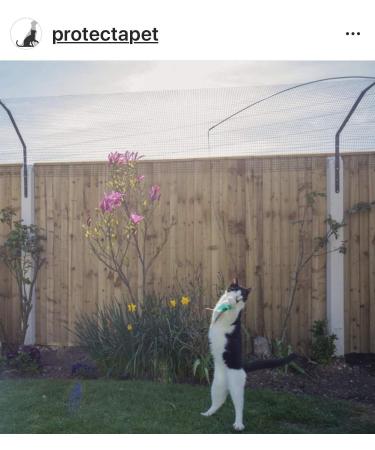 PurrSuit Feather Spinning Cat Toy LONG Safer Clip UK made 100cm Wand - Buy Online on SooperMarket.com