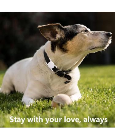 Silicone Protection Case for Apple Airtag - Dog Collar Pet Loop Holder - Slide-on Sleeve Compatible with Apple AirTags - Buy Online on SooperMarket.com