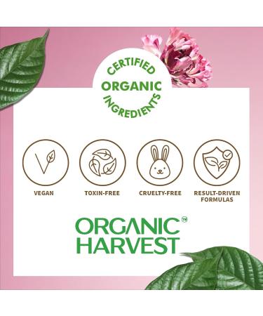 Moisture Matte Lipstick - Red Wine | Long-Lasting Hydrating Organic & Vegan | Creamy Matte Finish | 4gm - Buy Online on SooperMarket.com
