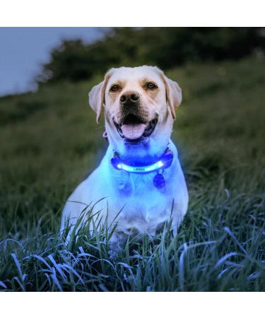 Laroo Safety LED Light Band for Dogs & Cats | Waterproof Easy-Fastening Blue Light for Collars & Dishes | Ideal for Outdoor Sports - Buy Online on SooperMarket.com
