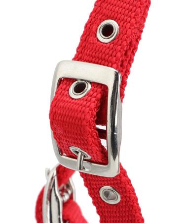 Premium PP Horse Bridle & Harness | Durable Horse Equipment for Home & Travel - Buy Online on SooperMarket.com