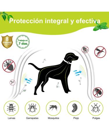 DEWEL 63.5cm Adjustable Waterproof Dog Collar - Effective Tick & Flea Prevention for Dogs & Cats - Buy Online on SooperMarket.com