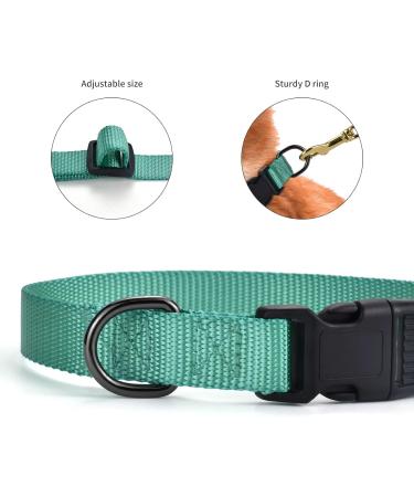 Audwud Thick Nylon Neck Band Dog Collar - Adjustable Classic Design for Small Medium & Large Dogs | M Size: 37-54 cm | Available in Multiple Colors - Buy Online on SooperMarket.com