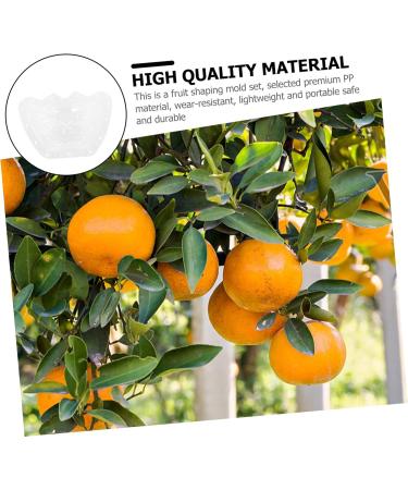 SUPVOX Cucumber Shaping Mold 2pcs Fruit Mold Accessories Growing Shaping Pear Ingot Ingot-Shaped Vegetable Molds Garden Yard - Buy Online on SooperMarket.com