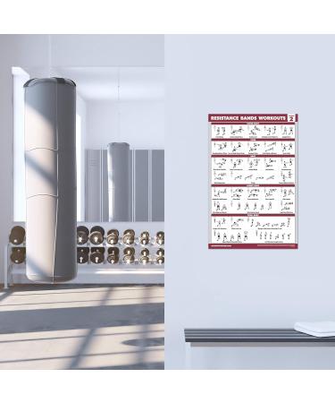 Palace Learning 3-Pack - Resistance Tapes & Bodyweight Exercises Poster Set | 18x24 Laminated Training Tables for Home Workouts - Buy Online on SooperMarket.com