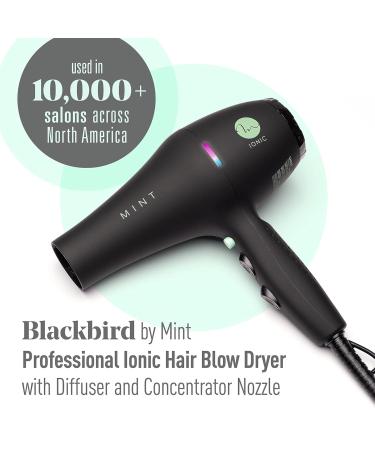 Professional Series Blackbird Infrared Ionic Hair Dryer | MINT 1875W Lightweight & Quiet Blow Dryer with Diffuser | Ceramic Tourmaline Salon-Grade Performance - Buy Online on SooperMarket.com